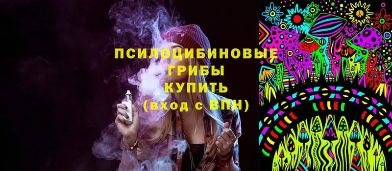 Галлюциногенные грибы Magic Shrooms  Прокопьевск 